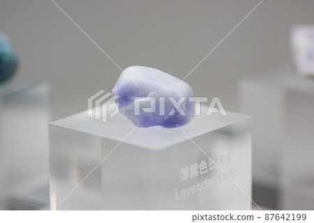 Little purple jade Little purple jade 87642199