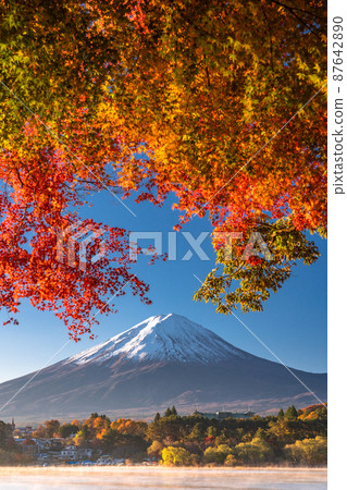 [Yamanashi Prefecture] Autumn Mt. Fuji/Autumn foliage arch 87642890
