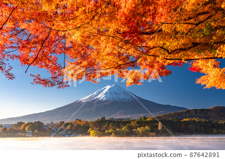 [Yamanashi Prefecture] Autumn Mt. Fuji/Autumn foliage arch 87642891