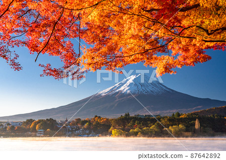 [Yamanashi Prefecture] Autumn Mt. Fuji/Autumn foliage arch 87642892