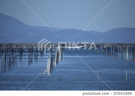 大牟田市有明海紫菜場, 大牟田市有明海紫菜場, 87642999