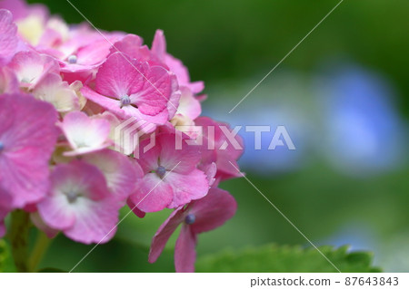 下雨時它會變濕 87643843