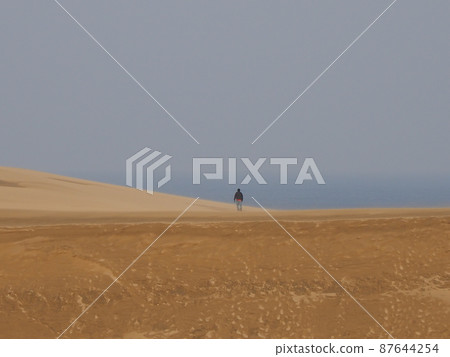 A human standing on the desert A human standing on the desert 87644254