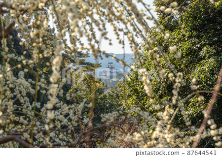 從美麗的梅園看到的龍尾神社掛川城 87644541