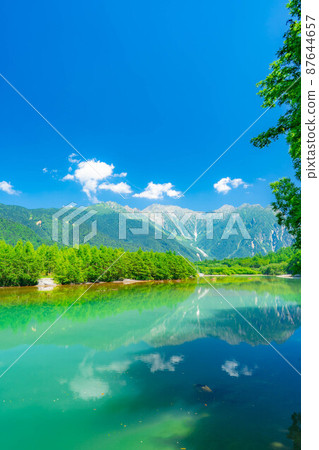 夏季的上高地大正池[長野縣] 87644657