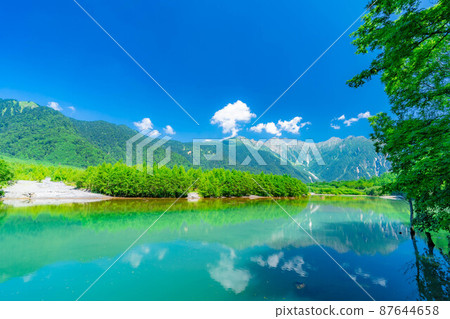 夏季的上高地大正池[長野縣] 87644658