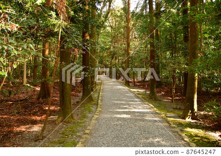 Ise Jingu Geku 39 87645247