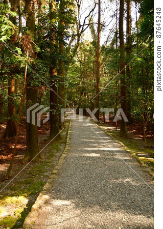 Ise Jingu Geku 40 87645248