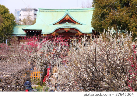 Kameido Tenjin Plum Festival Ume, Kameido, Koto-ku, Tokyo 87645304