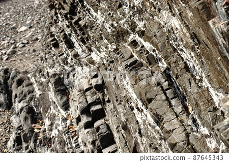 Coastal rocky skin 87645343