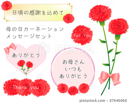 母親節感恩節留言卡和紅色康乃馨 87646068