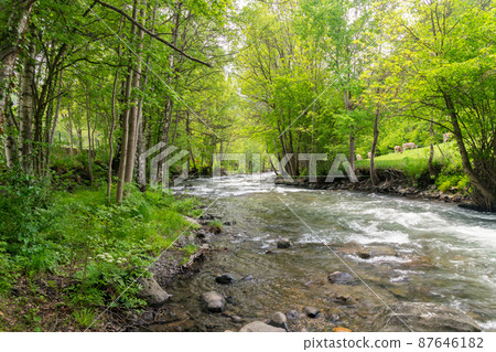 View of river Valira d'Orient between trees in Andorra. View of river Valira d'Orient between trees in Andorra. 87646182