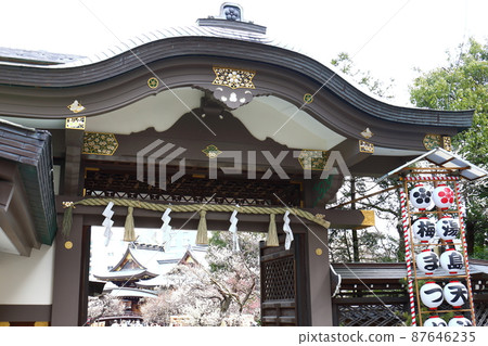 Yushima Tenjin Shrine Ume Ume Matsuri Yushima Tenmangu Yushima Shrine, commonly known as Yushima Tenjin, Yushima, Bunkyo-ku, Tokyo Yushima Tenjin Shrine Ume Ume Matsuri Yushima Tenmangu Yushima Shrine, commonly known as Yushima Tenjin, Yushima, Bunkyo-ku, Tokyo 87646235