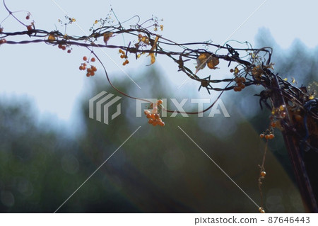 鐵絲網 鐵絲網 87646443