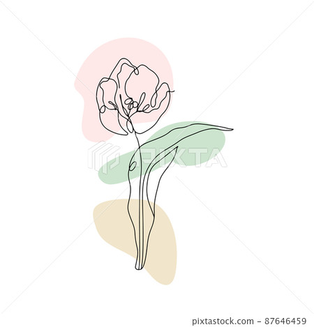 One line drawing tulip. Hand drawn single line flower with neutral abstract shapes One line drawing tulip. Hand drawn single line flower with neutral abstract shapes 87646459