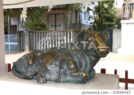 Kameido Tenjin Shrine's Ume Festival, Kameido, Koto-ku, Tokyo 87646487