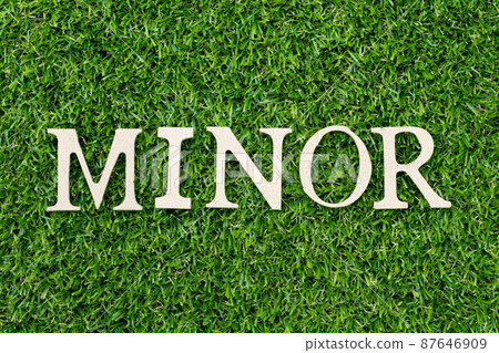Wood alphabet letter in word minor on green grass background 87646909