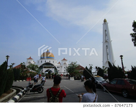 馬來西亞粉紅麝香 馬來西亞粉紅麝香 87647173