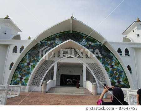 馬六甲麝香 馬六甲麝香 87647455