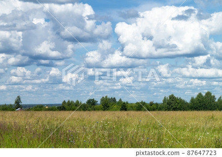 Year landscape with floor on background sky with cloud Year landscape with floor on background sky with cloud 87647723