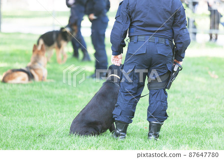 Policeman with police dog on duty Policeman with police dog on duty 87647780