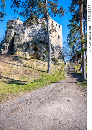 Mediaeval ruins of Valecov Castle 87648155