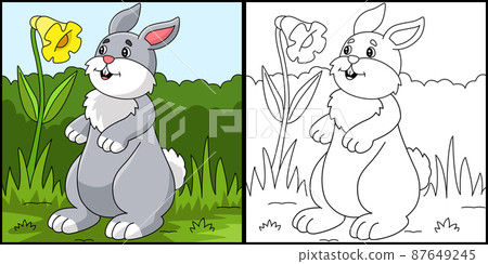 Rabbit Coloring Page Colored Illustration 87649245