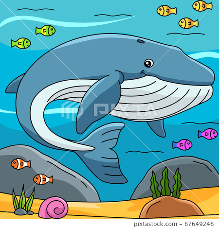 Blue Whale Cartoon Colored Illustration 87649248