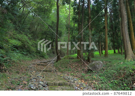 Road leading from Otemon to the summit (Trace of Akechi Castle, Kani City, Gifu Prefecture) 87649812