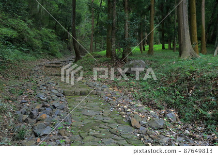 Road leading from Otemon to the summit (Trace of Akechi Castle, Kani City, Gifu Prefecture) 87649813
