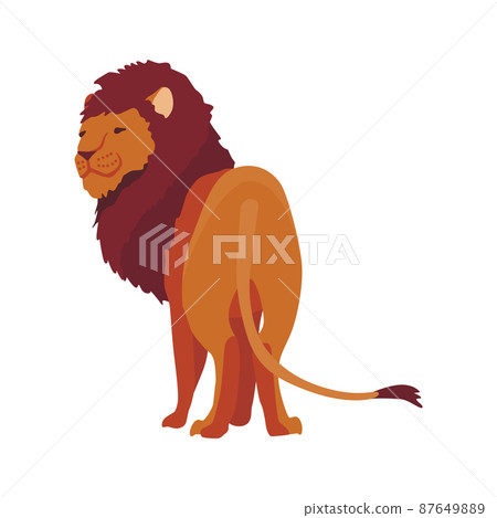 Proud powerful lion character. King of animal. Cartoon cute wild cat standing. Isolated vector Illustrations on a white background Proud powerful lion character. King of animal. Cartoon cute wild cat standing. Isolated vector Illustrations on a white background 87649889