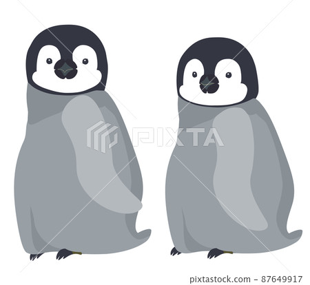 蹣跚學步的一對帝企鵝 87649917