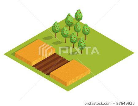 Isometric rural farm. Growing fruit trees and a field with a harvest of wheat or other cereals. Vector icon representing countryside element 87649923