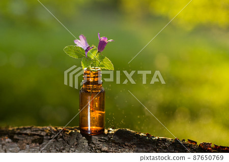 Natural organic herbal essence in a glass bottle. Bottle with essential oil. Natural organic herbal essence in a glass bottle. Bottle with essential oil. 87650769