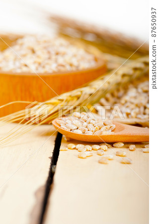 organic barley grains 87650937