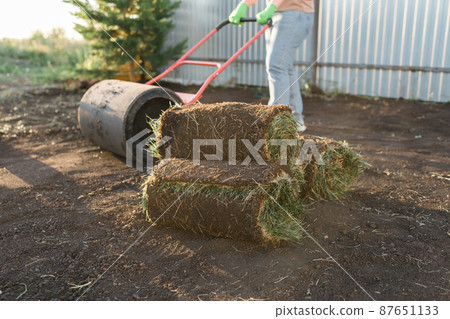 Close up woman laying sod for new garden lawn - turf laying concept Close up woman laying sod for new garden lawn - turf laying concept 87651133