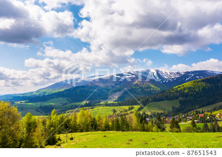 idyllic landscape in the carpathian mountains. fresh green meadows and trees on the hills. snow-capped tops of borzhava ridge in the distance. beautiful nature scenery in spring 87651543