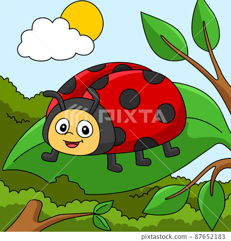 Ladybug Cartoon Colored Animal Illustration 87652183