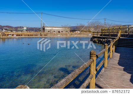 Scenery of Maruike spring spring 87652372
