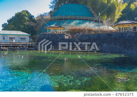 Maruike春天風景 87652375