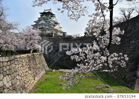 Osaka Prefecture, Japan Spring Osaka Castle Park Full bloom cherry blossoms, blue sky and magnificent castle tower 87653194