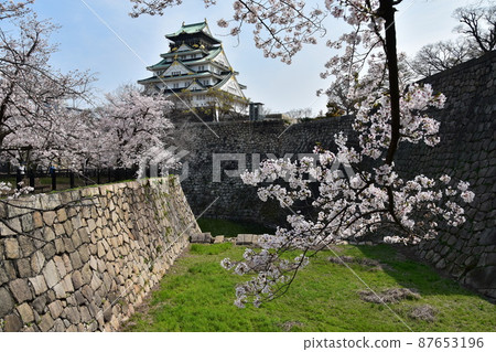 Osaka Prefecture, Japan Spring Osaka Castle Park Full bloom cherry blossoms, blue sky and magnificent castle tower 87653196