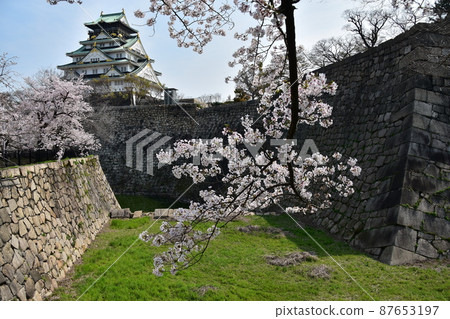 Osaka Prefecture, Japan Spring Osaka Castle Park Full bloom cherry blossoms, blue sky and magnificent castle tower 87653197