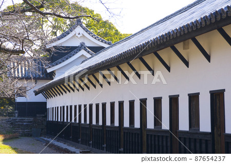 早春的福岡城[福岡縣] 87654237