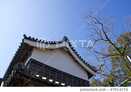 早春的福岡城[福岡縣] 87654238