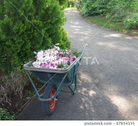 後車廂堆滿過季鮮花 87654335