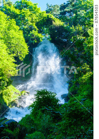 Maiden Falls (Tateshina / Yokotani Valley) 87654503