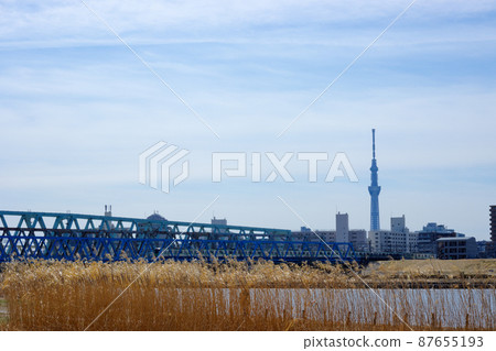 Arakawa Riverside Yoshiho and Tokyo Sky Tree Arakawa Riverside Yoshiho and Tokyo Sky Tree 87655193