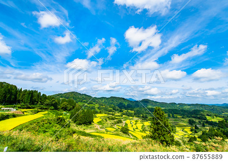 Hoshitoge Rice Terraces, Tokamachi City, Niigata Prefecture-Autumn, close to harvesting rice- 87655889