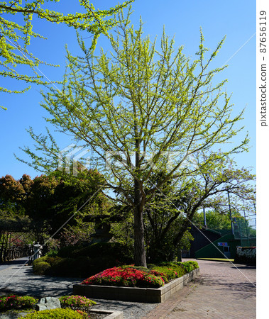 Chiran Peace Park鹿兒島縣 Chiran Peace Park鹿兒島縣 87656119